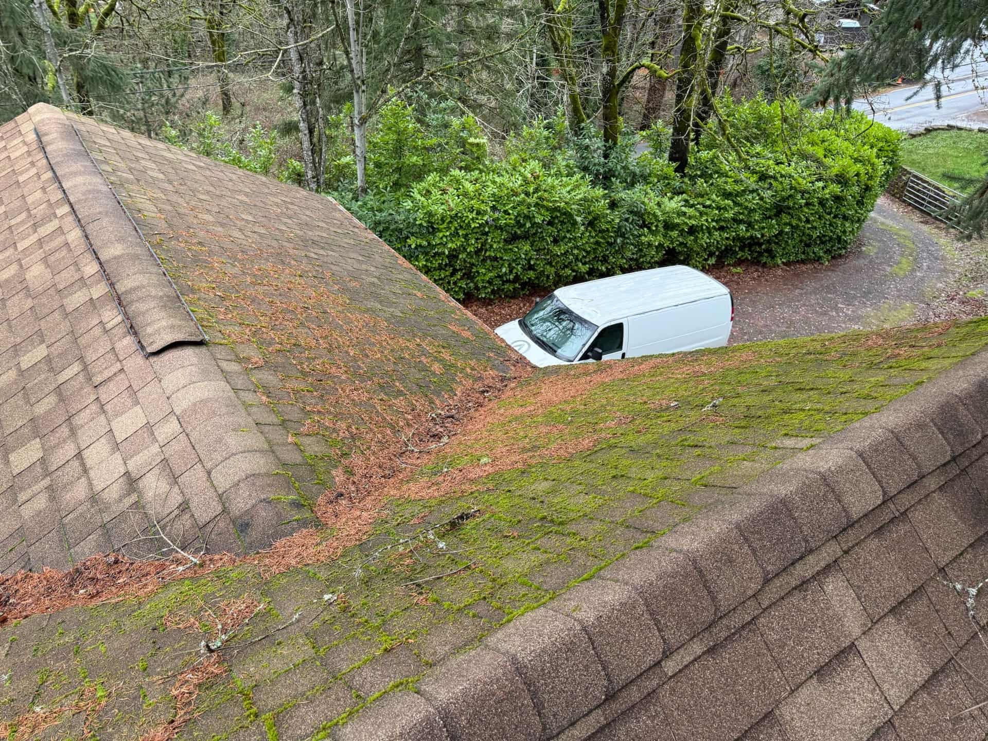 Frequently Asked Questions - Alpine Roof and Gutter Cleaning