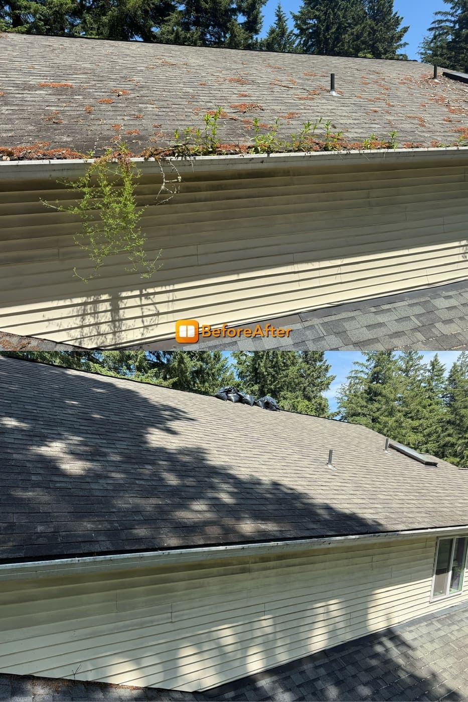 Before and after of a moss covered roof and clogged gutter cleared and cleaned