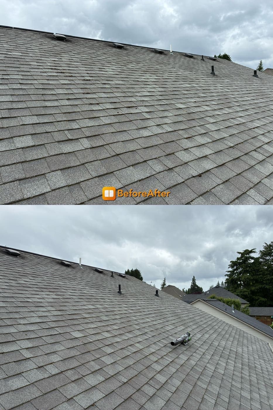 Before and after of a moss covered asphalt shingle roof cleaned