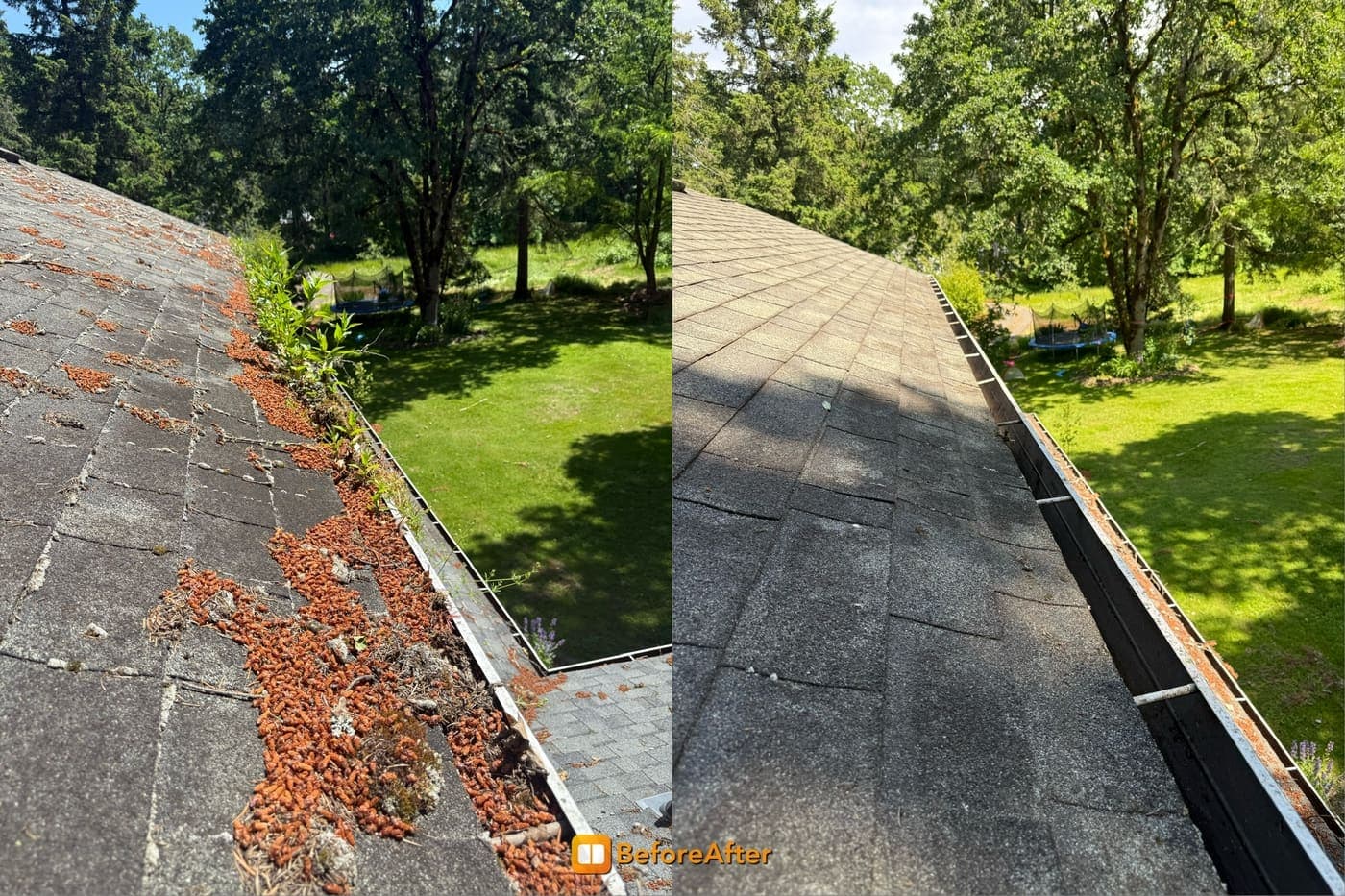 Before and after of a gutter full of pine needles and debris cleared out