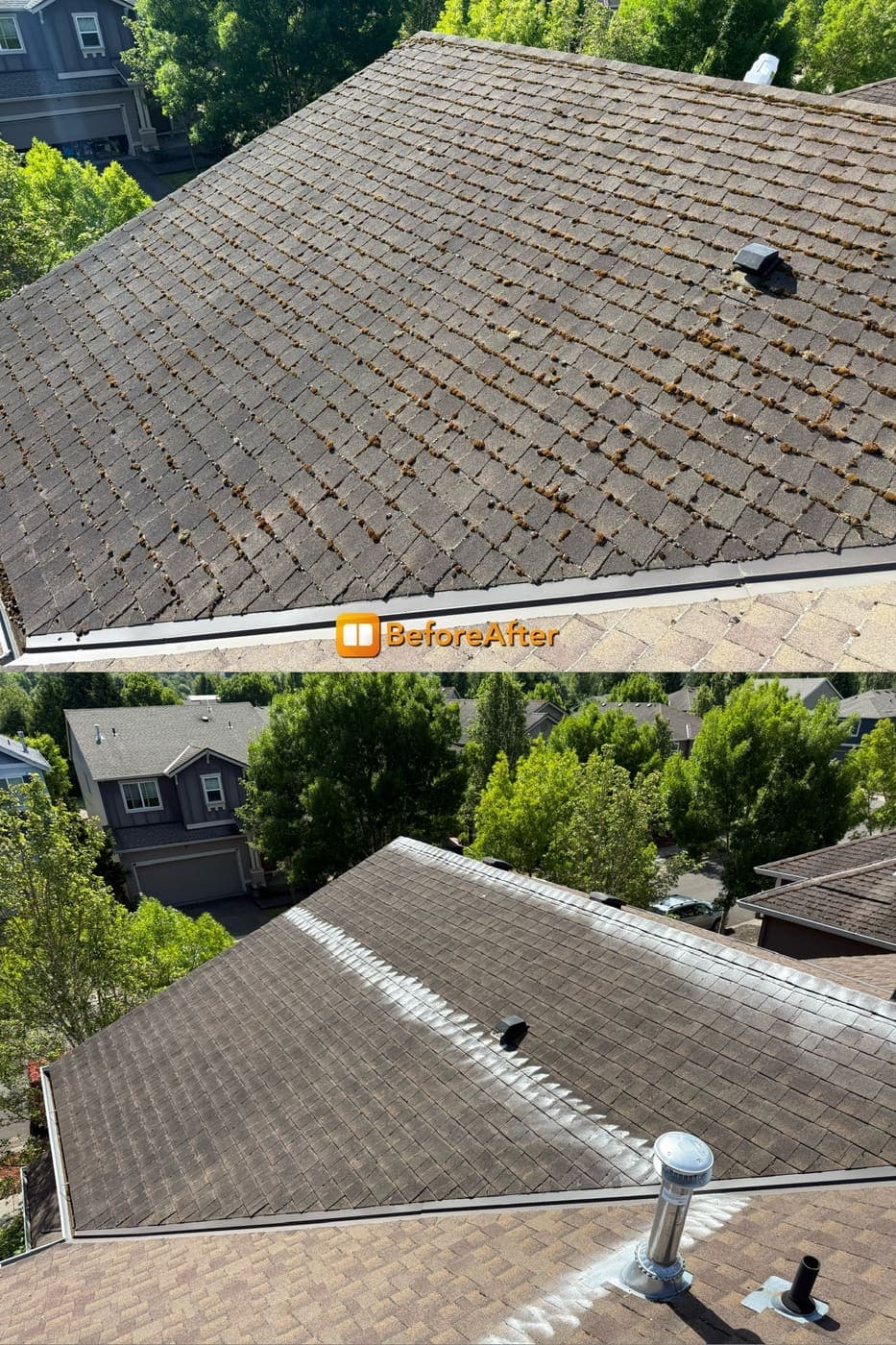 Before and after of a moss covered shingle roof cleaned