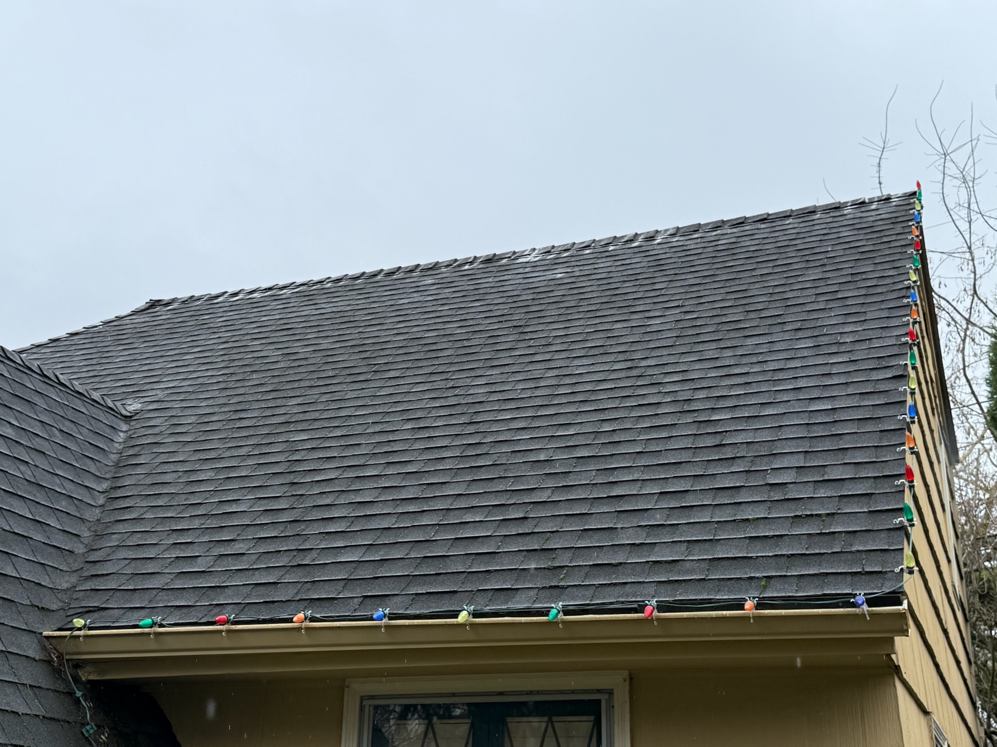 About Alpine Roof and Gutter Cleaning - Alpine Roof and Gutter Cleaning